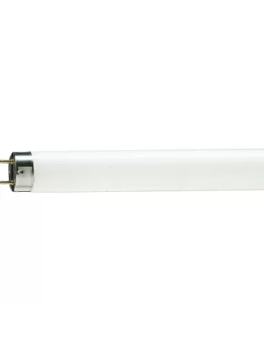 Philips MASTER TL-D 90 De Luxe lámpara fluorescente 36 W G13 Blanco cálido